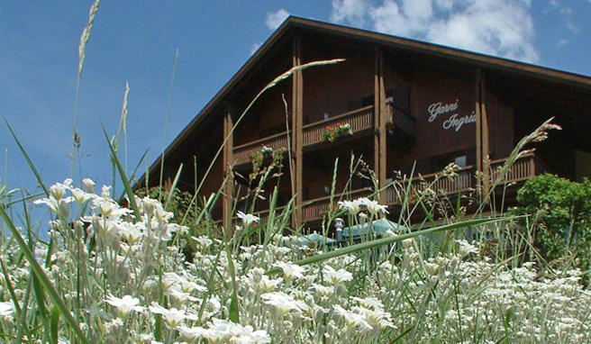 Garni Ingrid Hotel Dobbiaco Bagian luar foto